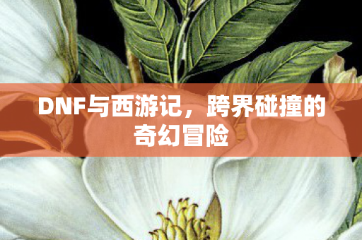 跨界碰撞的奇幻冒险图片