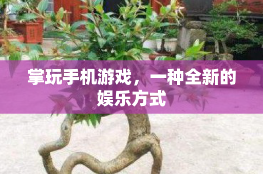 一种全新的娱乐方式图片