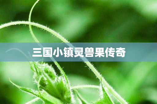 三国小镇灵兽果传奇图片