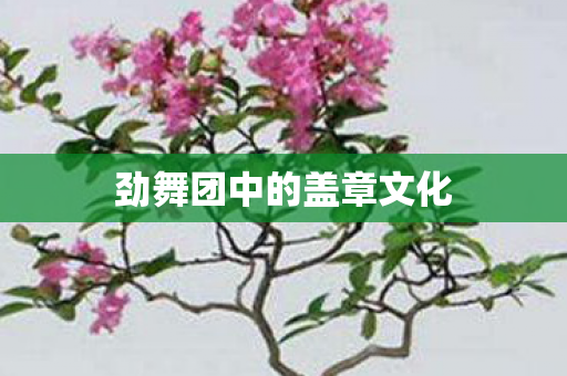 劲舞团中的盖章文化图片