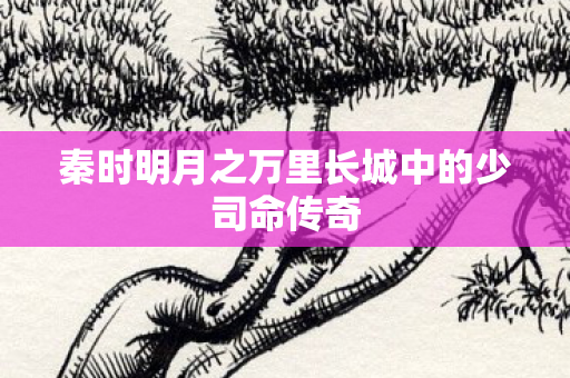 秦时明月之万里长城中的少司命传奇图片