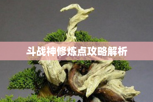 斗战神修炼点攻略解析图片