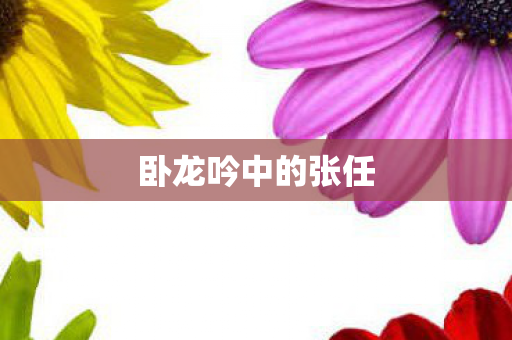 卧龙吟中的张任图片