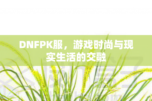 游戏时尚与现实生活的交融图片