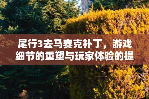 游戏细节的重塑与玩家体验的提升图片