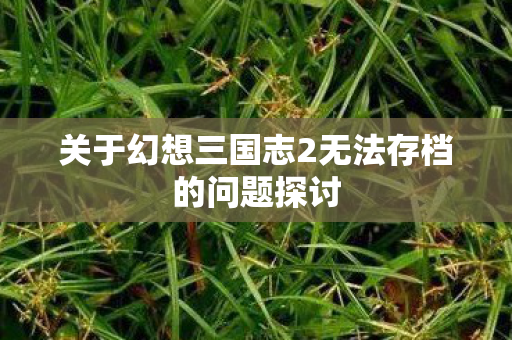 关于幻想三国志2无法存档的问题探讨图片