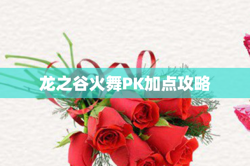 龙之谷火舞PK加点攻略图片