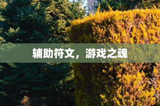 辅助符文图片