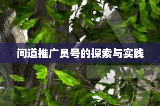 问道推广员号的探索与实践图片