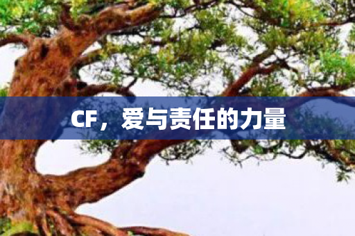 爱与责任的力量图片