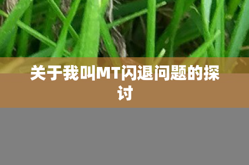 关于我叫MT闪退问题的探讨图片