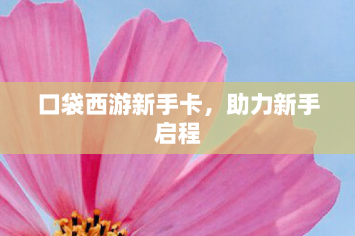 口袋西游新手卡图片