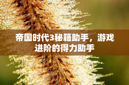 帝国时代3秘籍助手图片