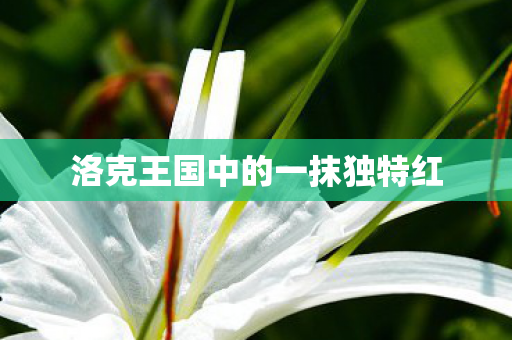 洛克王国中的一抹独特红图片