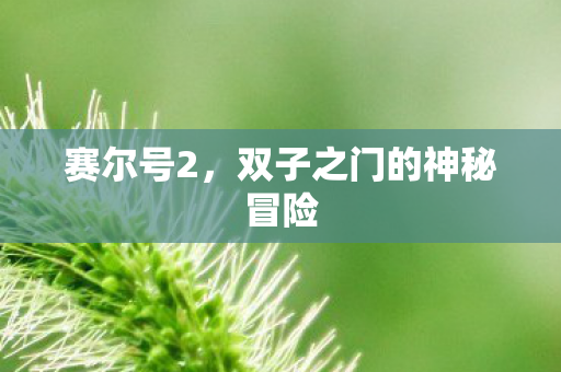 双子之门的神秘冒险图片