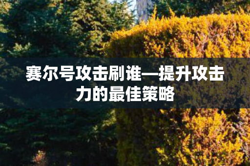 提升攻击力的最佳策略图片