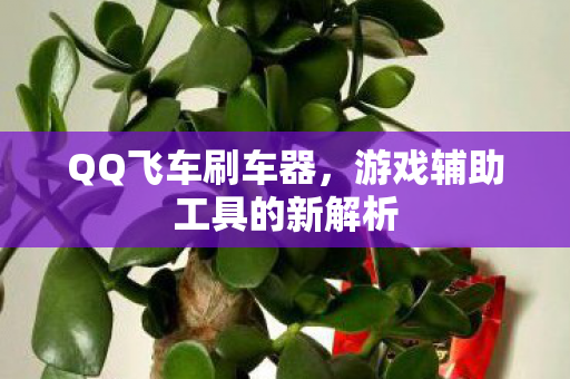 游戏辅助工具的新解析图片