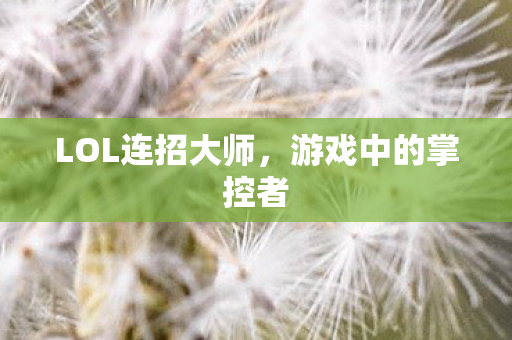 LOL连招大师图片
