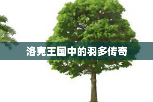 洛克王国中的羽多传奇图片