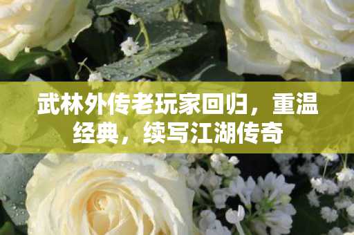 武林外传老玩家回归图片