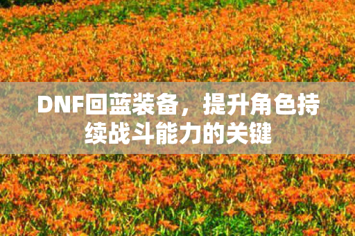提升角色持续战斗能力的关键图片
