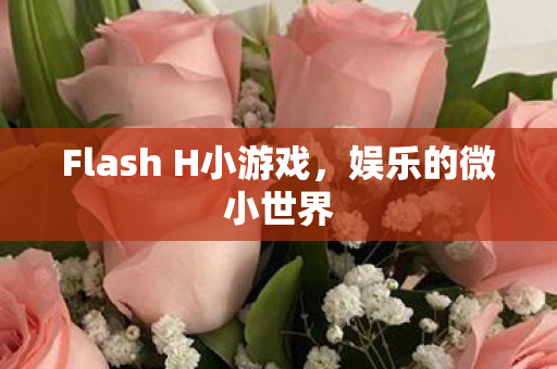 Flash H小游戏图片