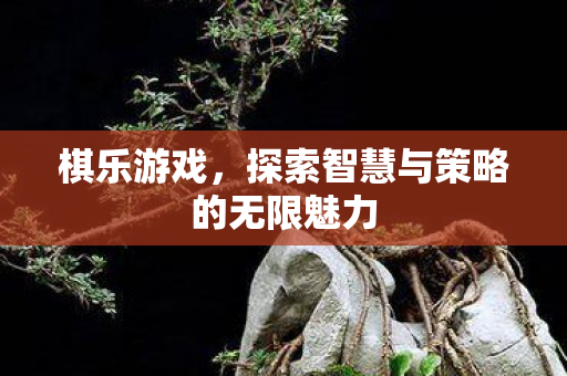探索智慧与策略的无限魅力图片