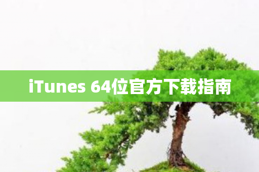 iTunes 64位官方下载指南图片