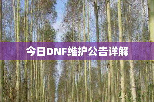 今日DNF维护公告详解图片