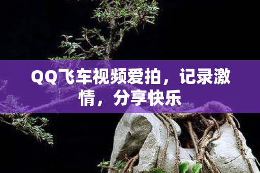 QQ飞车视频爱拍图片