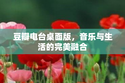 音乐与生活的完美融合图片