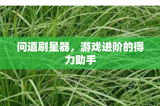 游戏进阶的得力助手图片