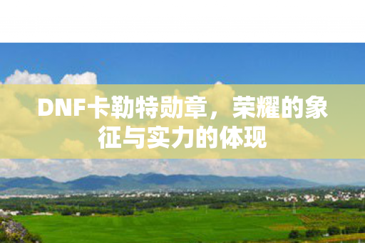 荣耀的象征与实力的体现图片