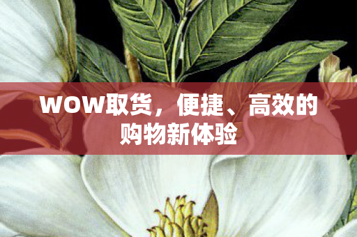 高效的购物新体验图片