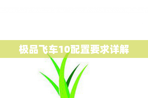极品飞车10配置要求详解图片