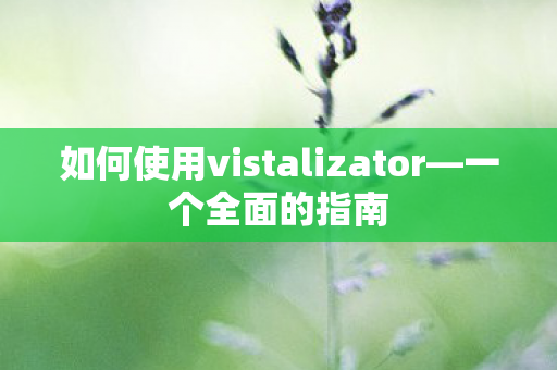 如何使用vistalizator图片