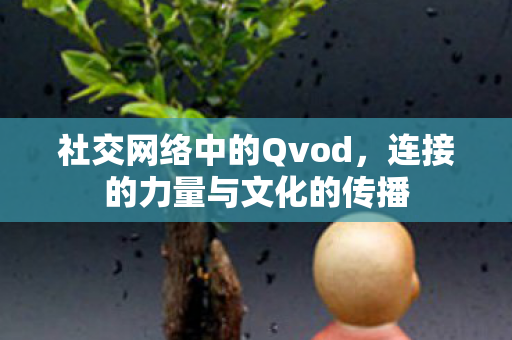 连接的力量与文化的传播图片