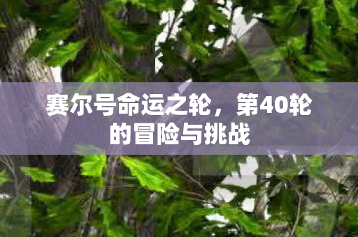 第40轮的冒险与挑战图片