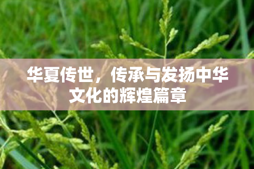 传承与发扬中华文化的辉煌篇章图片