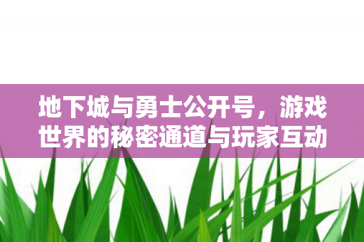 游戏世界的秘密通道与玩家互动的新平台图片