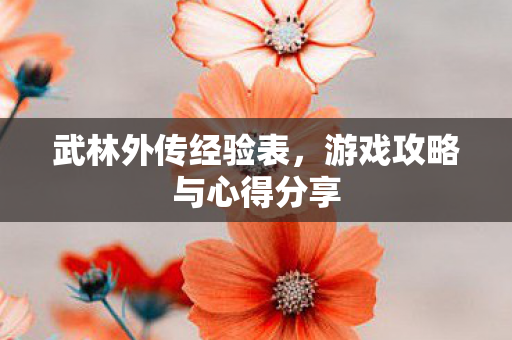 游戏攻略与心得分享图片