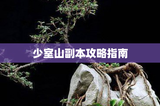 少室山副本攻略指南图片