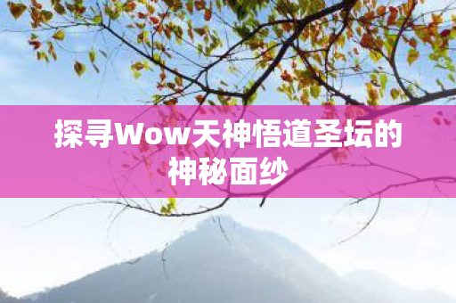 探寻Wow天神悟道圣坛的神秘面纱图片