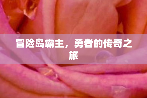 勇者的传奇之旅图片
