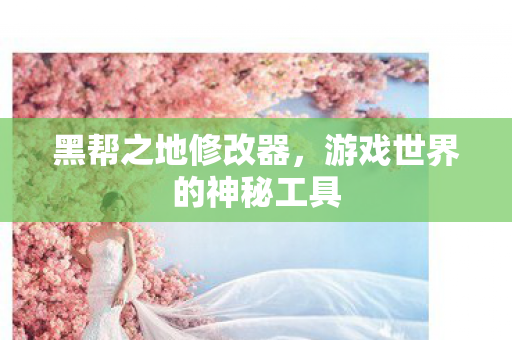 游戏世界的神秘工具图片