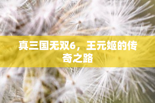 王元姬的传奇之路图片