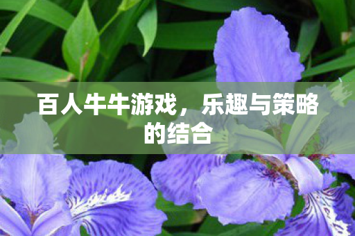 乐趣与策略的结合图片