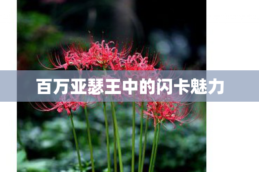 百万亚瑟王中的闪卡魅力图片