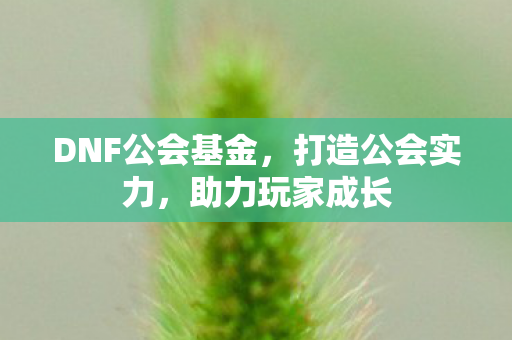 DNF公会基金图片