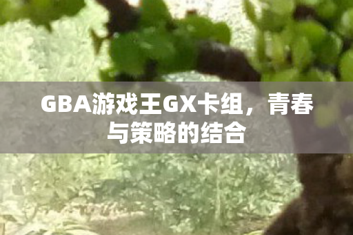 GBA游戏王GX卡组图片